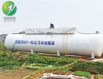 一体化生活手机网页版登录_ag手机(中国)
